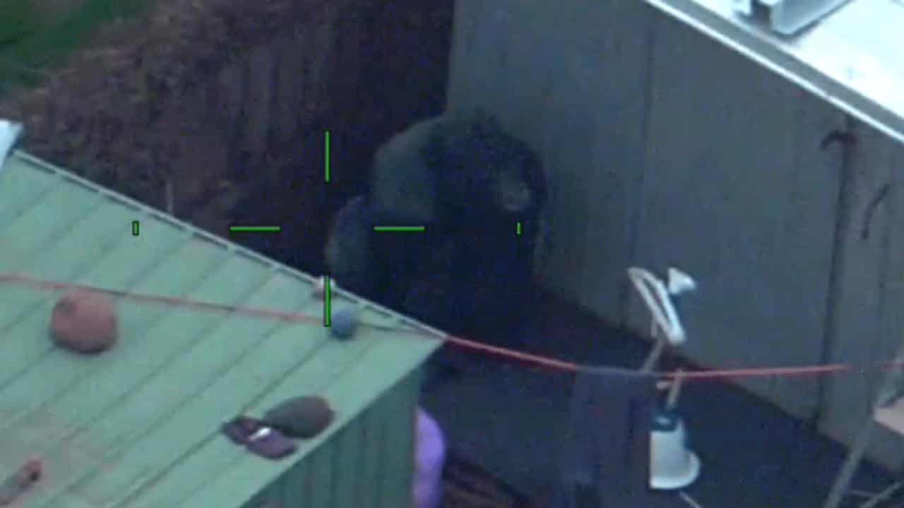 Police Air Wing image of stolen gorilla statue Garry