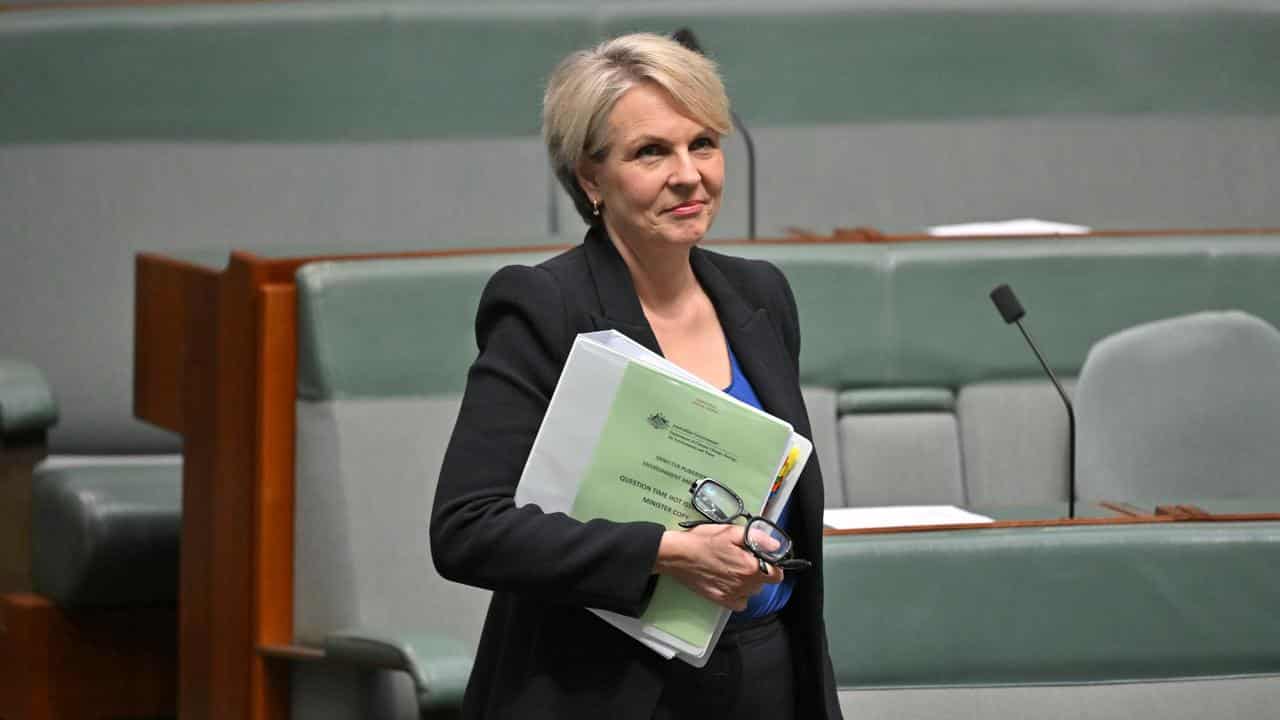 Tanya Plibersek 