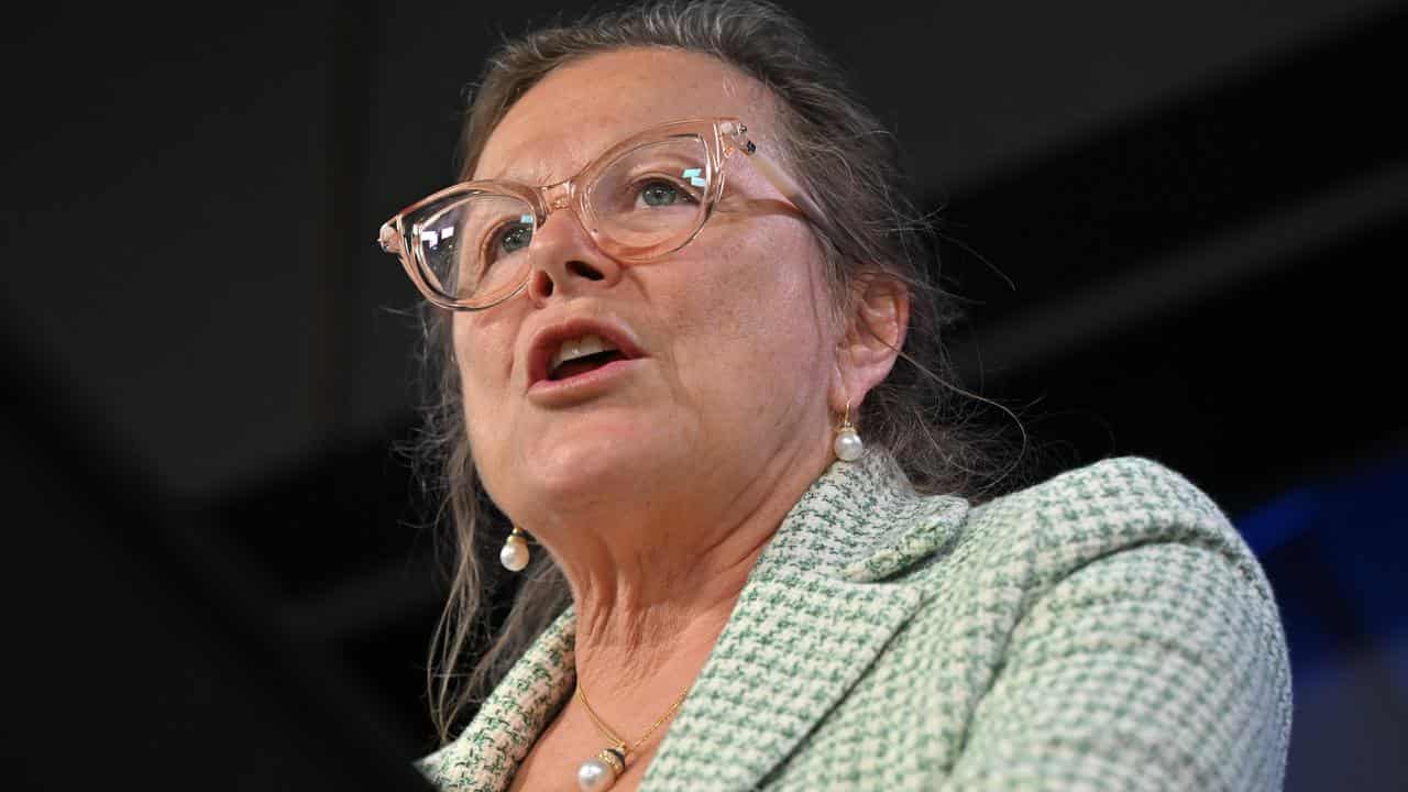 Dr Fiona Wood at the National Press Club.