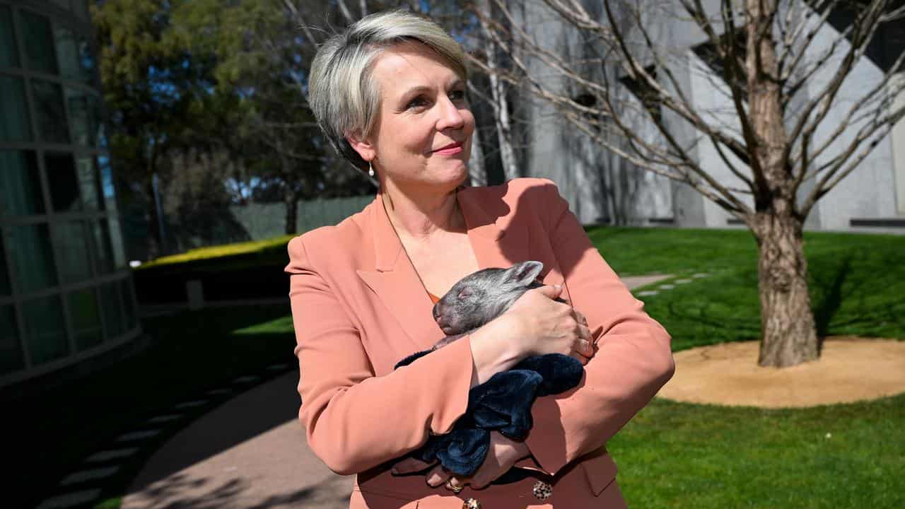 Tanya Plibersek 