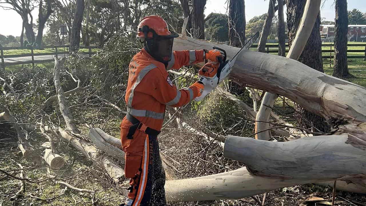 An SES member cuts up a fallen tree.