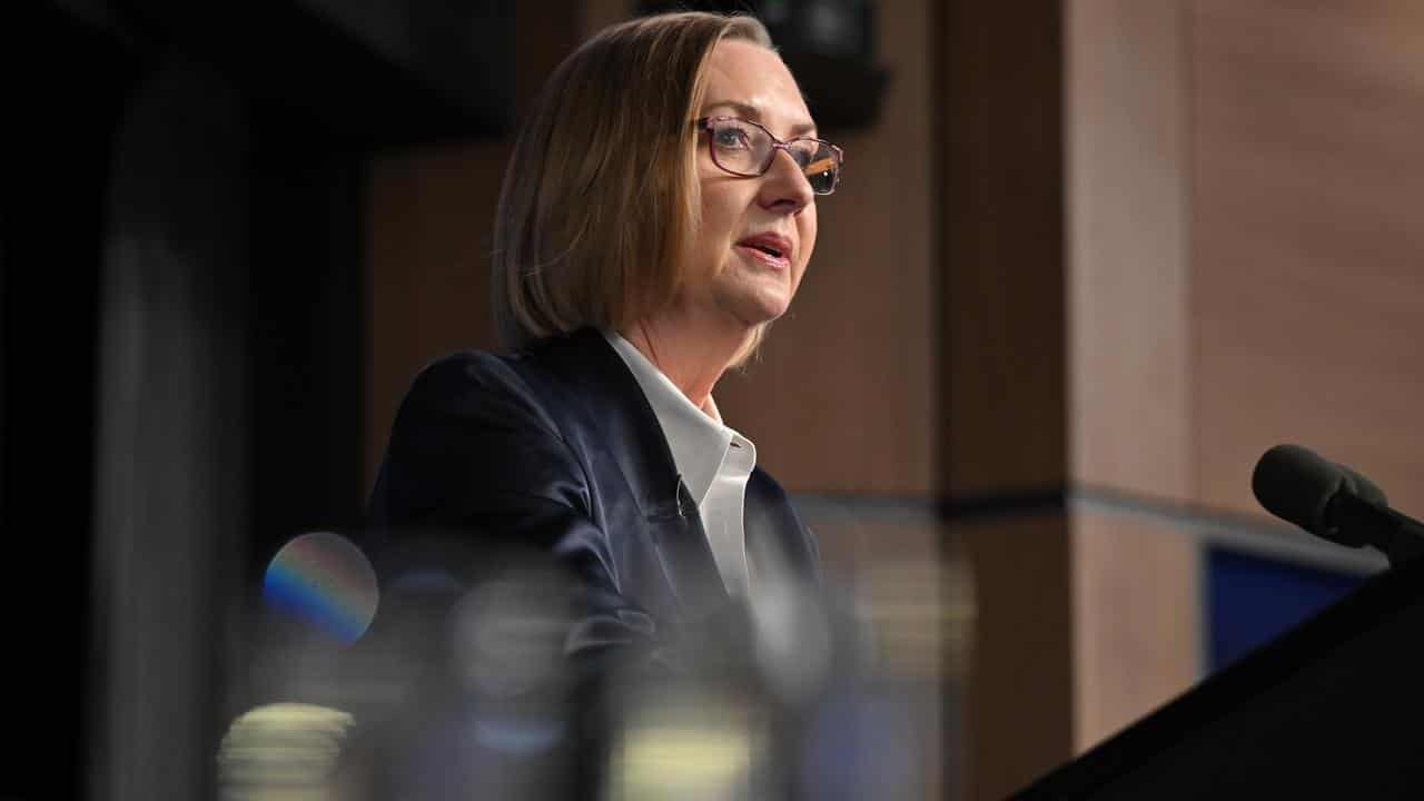 Susan Lloyd-Hurwitz at the National Press Club.