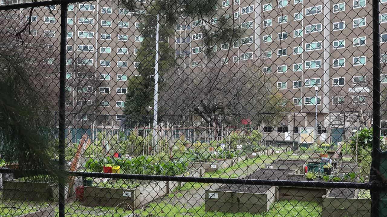 A community vegetable garden (file image)