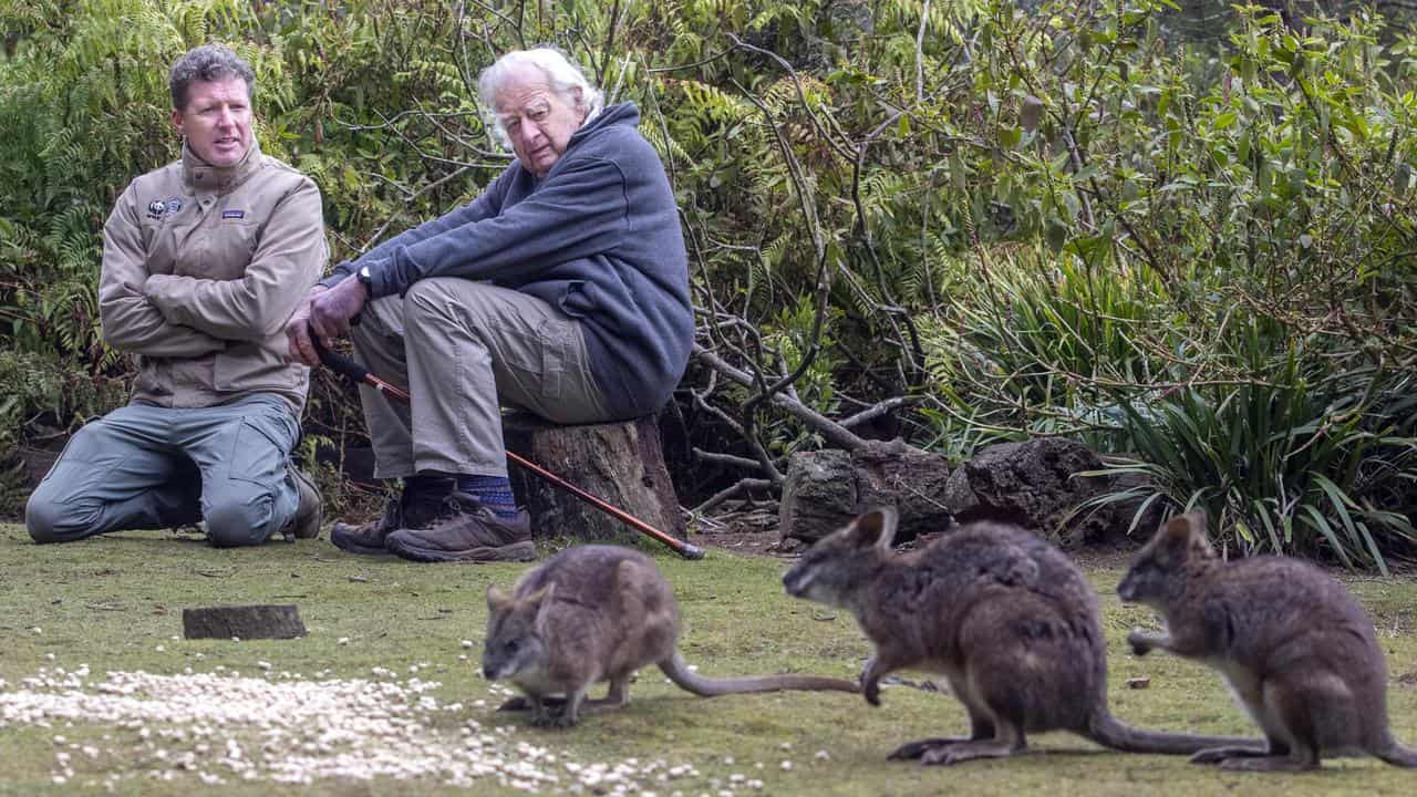 Conservationist Peter Pigott