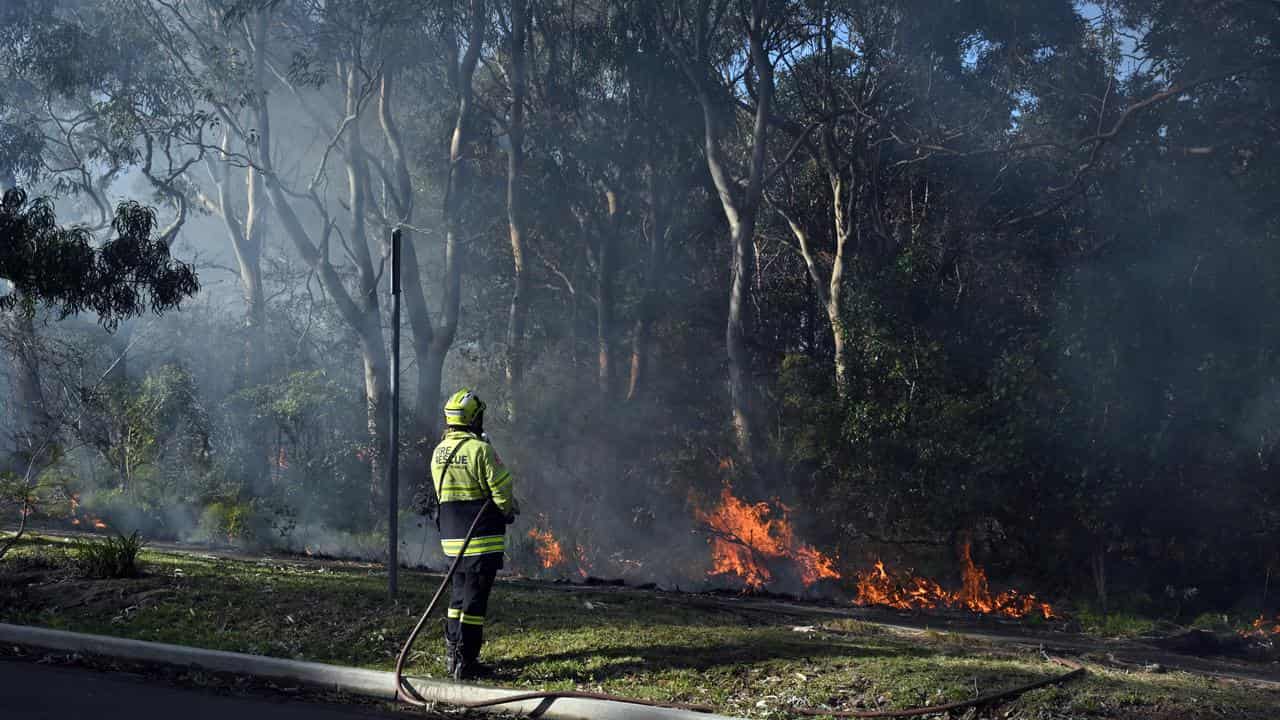 NSW Fire Brigade conducts a burn-off