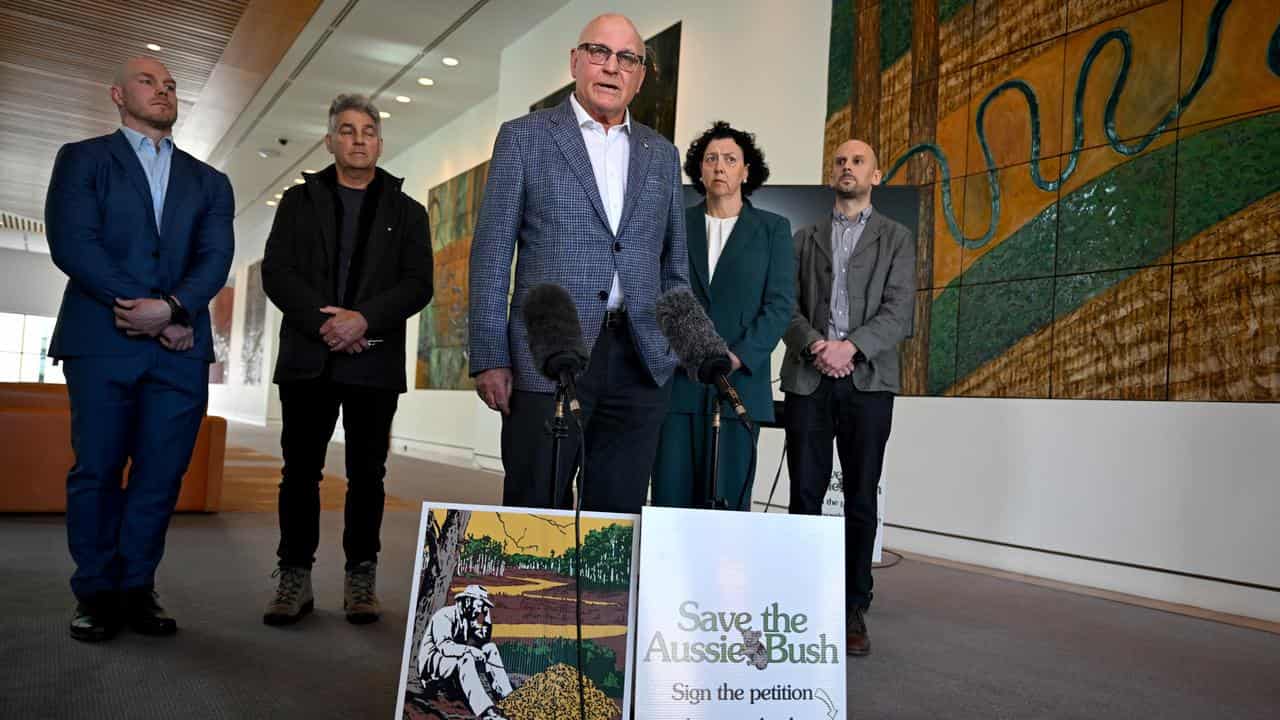 Geoff Cousins speaks to the media (file image)