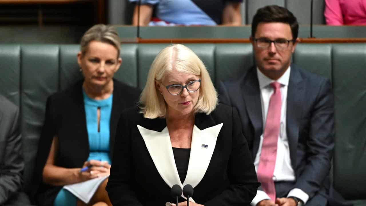 Liberal MP Karen Andrews (file image)