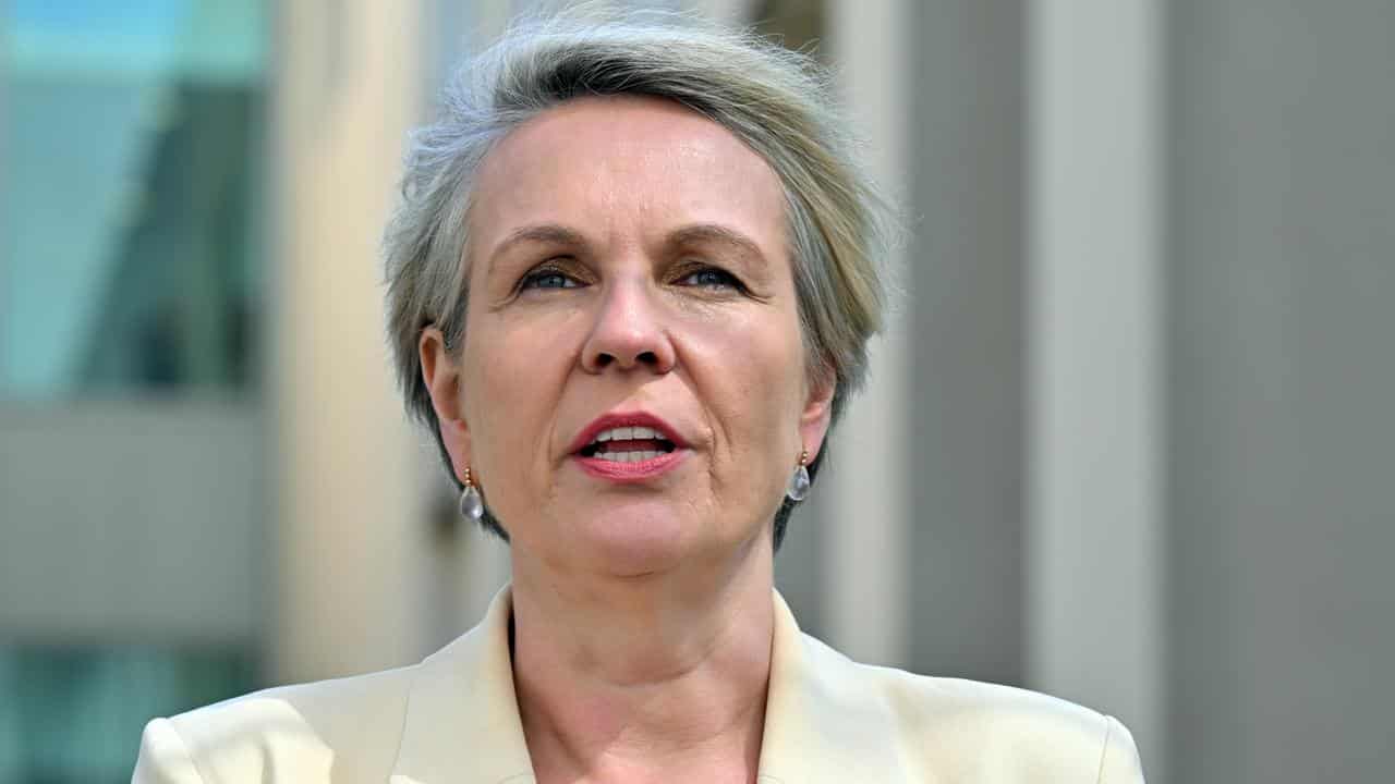 Environment Minister Tanya Plibersek (file image)