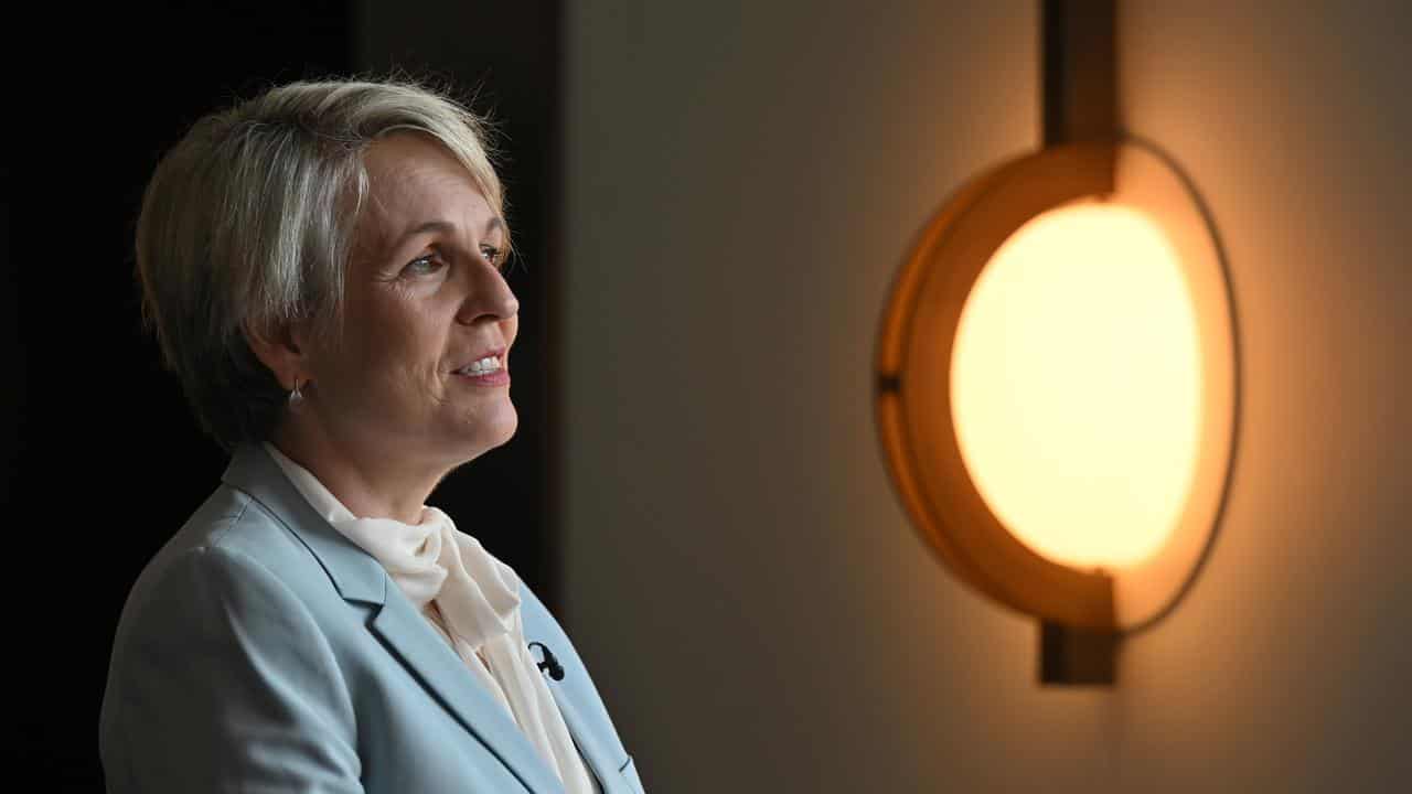 Environment Minister Tanya Plibersek (file image)