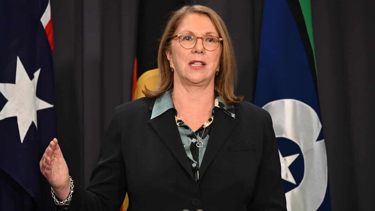 Transport Minister Catherine King (file image)