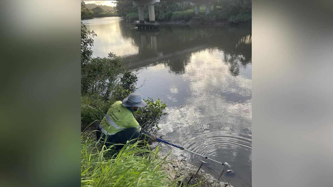 An state official samples the Albert River (file image)