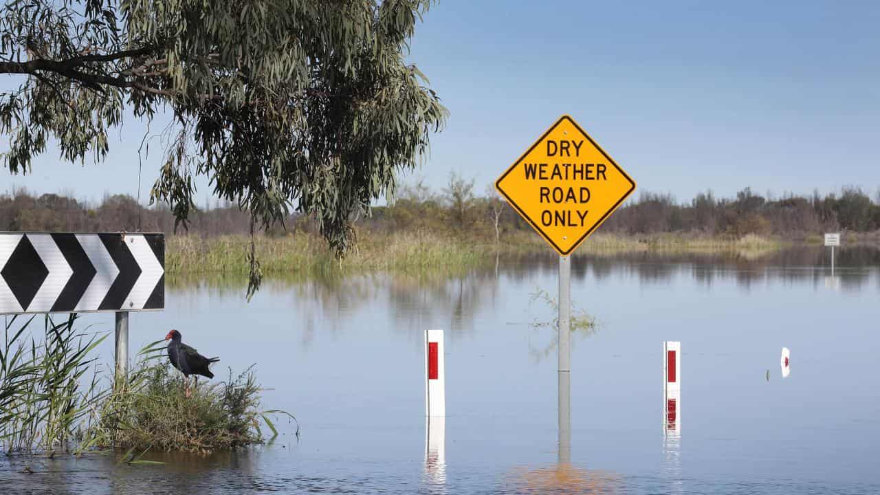 A road sign in flooding (file image)