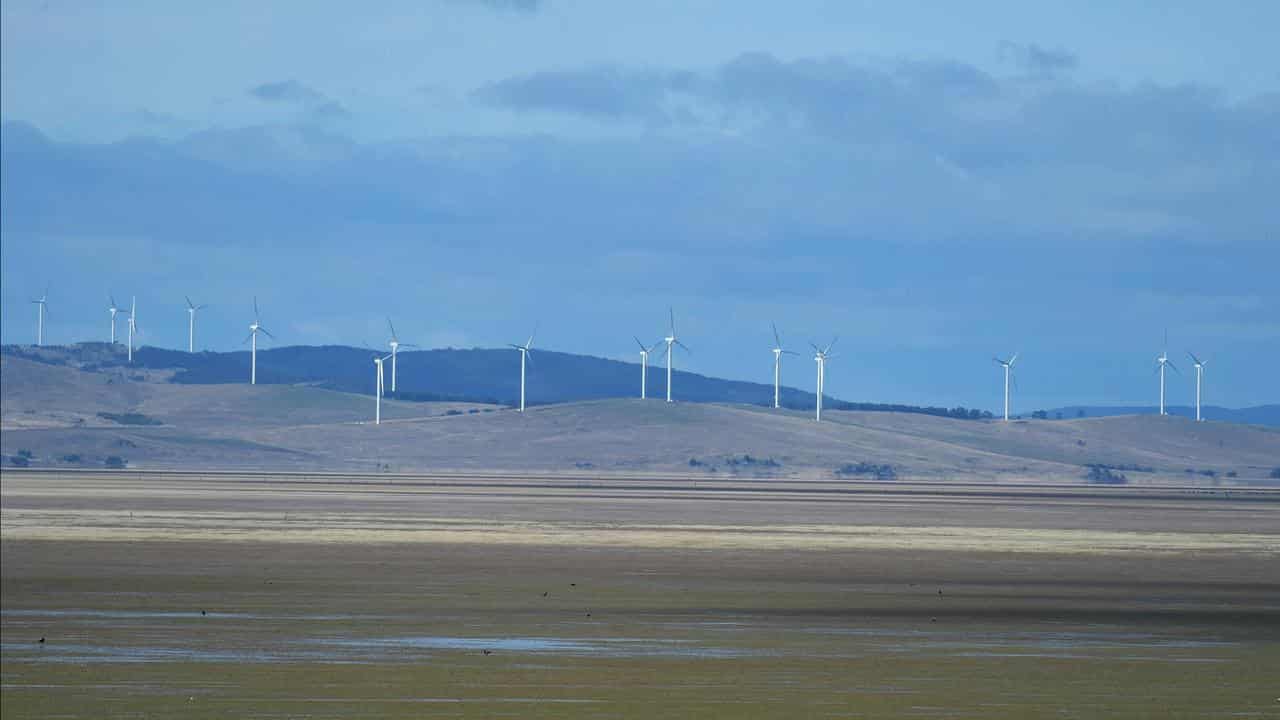 wind farms 