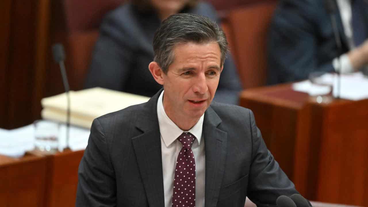 Opposition foreign affairs spokesman Simon Birmingham