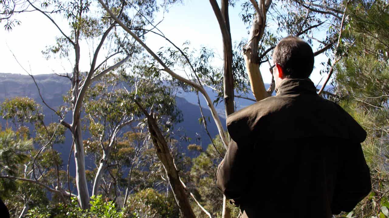 A hiker in the Blue Mountains