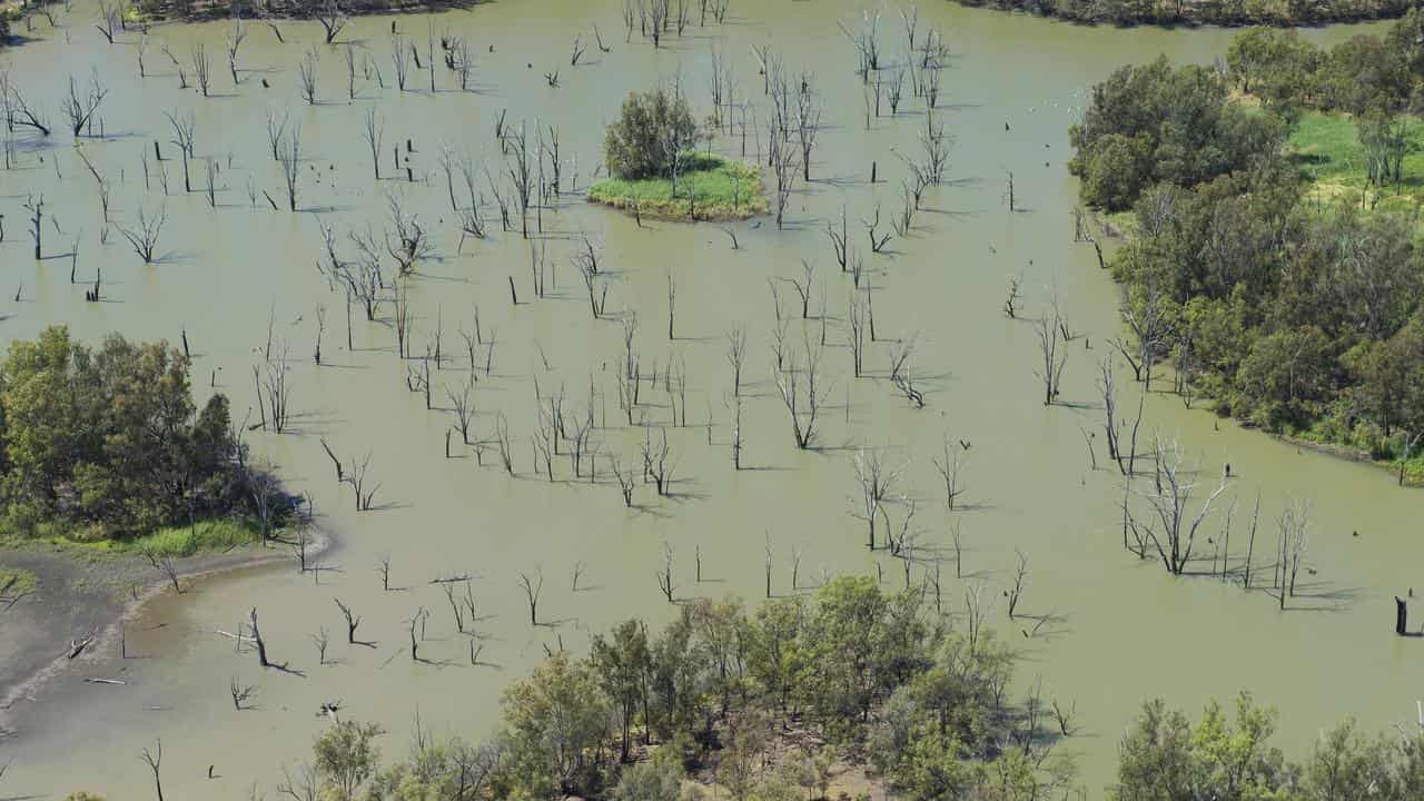 Chinchilla Weir (file image)