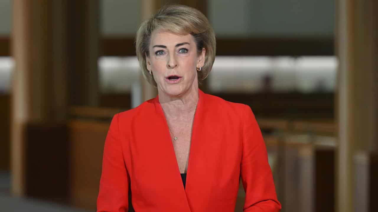 Shadow Attorney General Michaelia Cash at a press conference