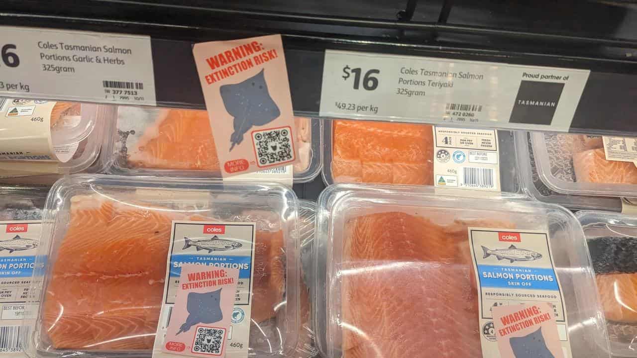 Extinction-risk warning stickers slapped on packs of Coles salmon.