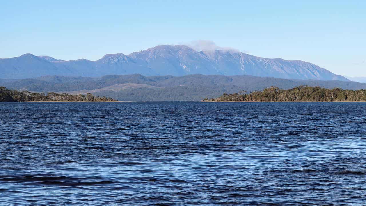 The Maugean skate only exists in Tasmania's Macquarie Harbour.