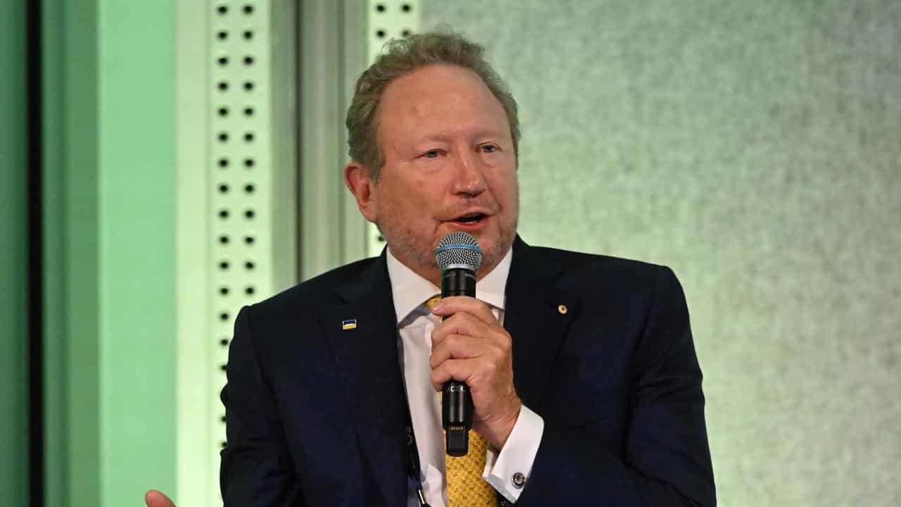 Australian businessman Andrew Forrest (file image)