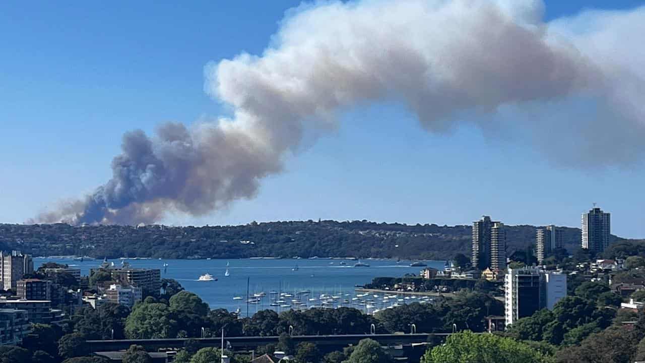 Smoke from a bushfire