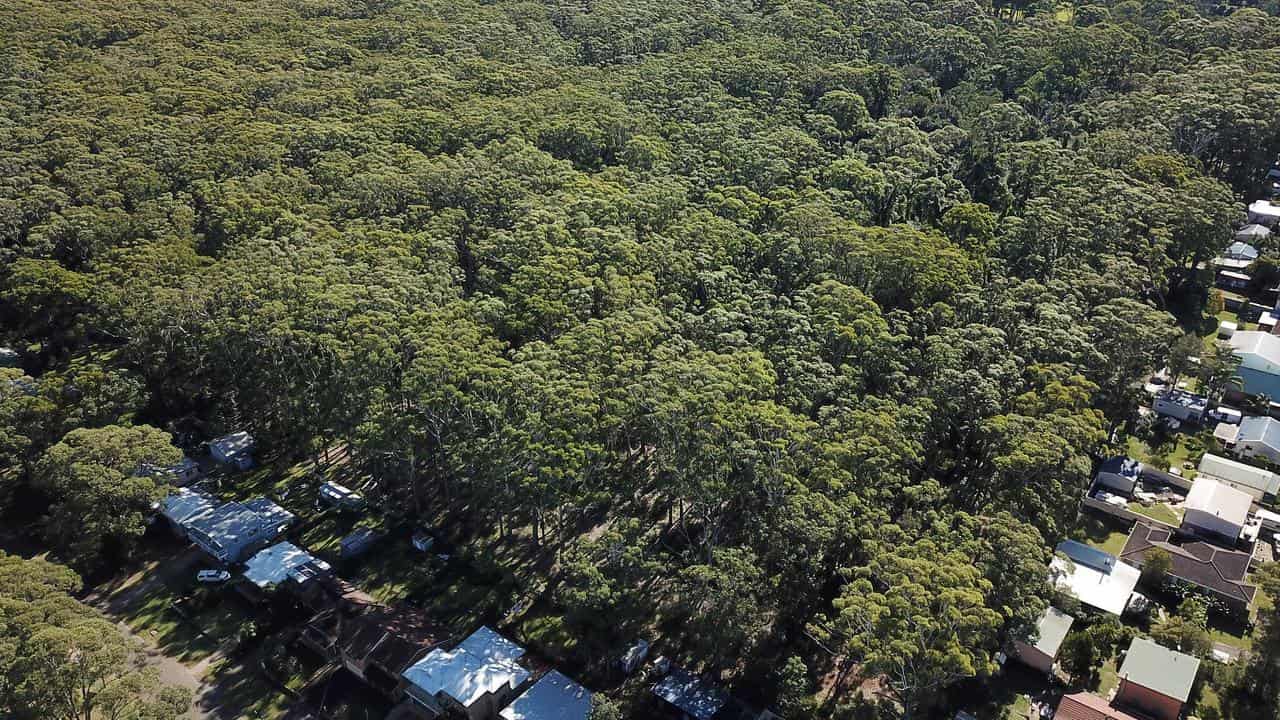 Ariel view of the bushland which is set to be cleared