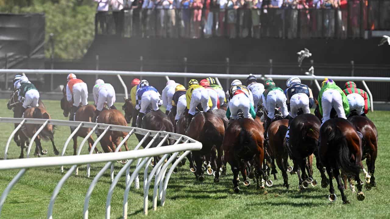 Horses make their way in the first lap of the 2023 Melbourne Cup