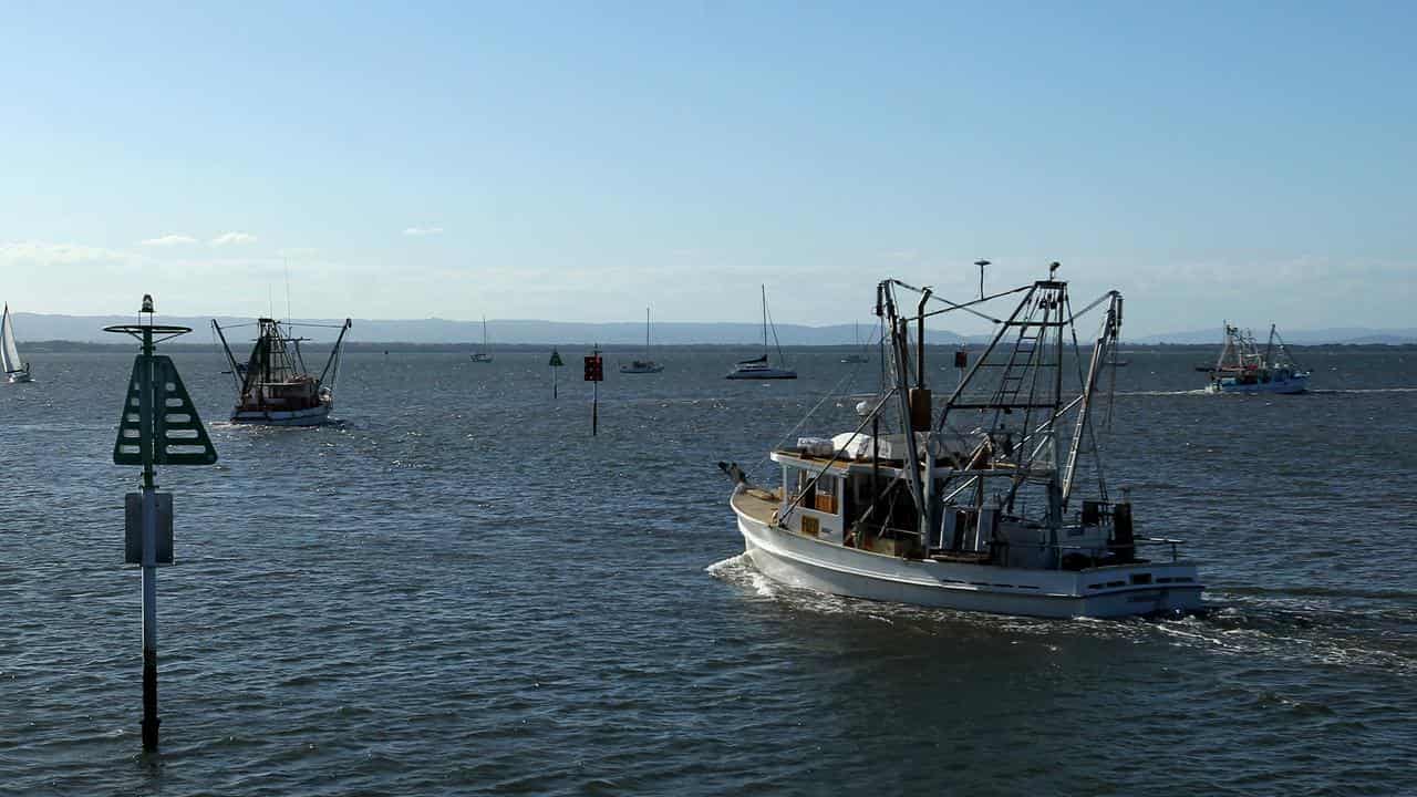 Trawlers head out to sea