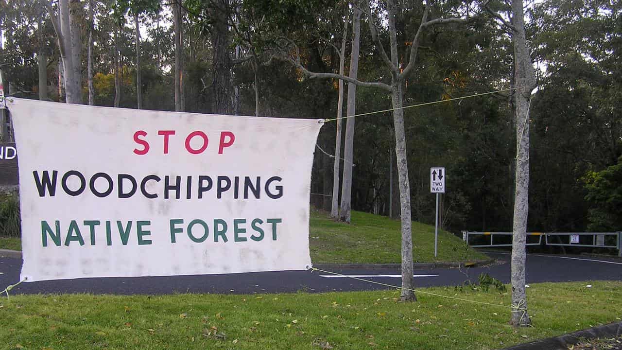 Anti-logging banner in the Cumberland State Forest, near Pennant Hills