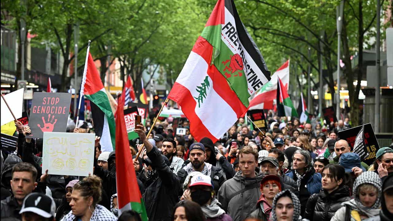 Pro-Palestine protesters