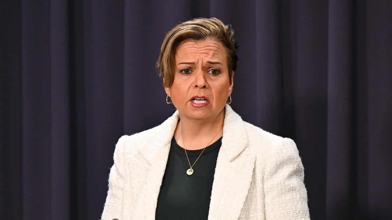 Communications Minister Michelle Rowland (file image)