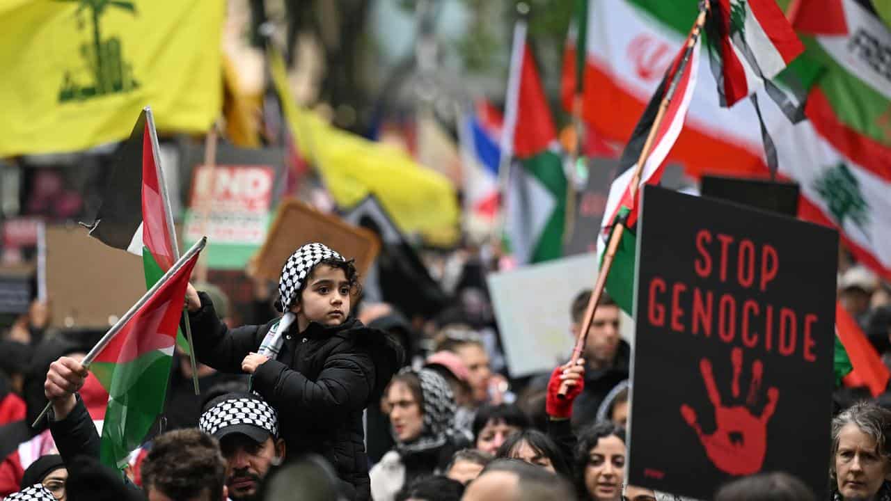 Protesters  (file image)at a Pro-Palestine rally