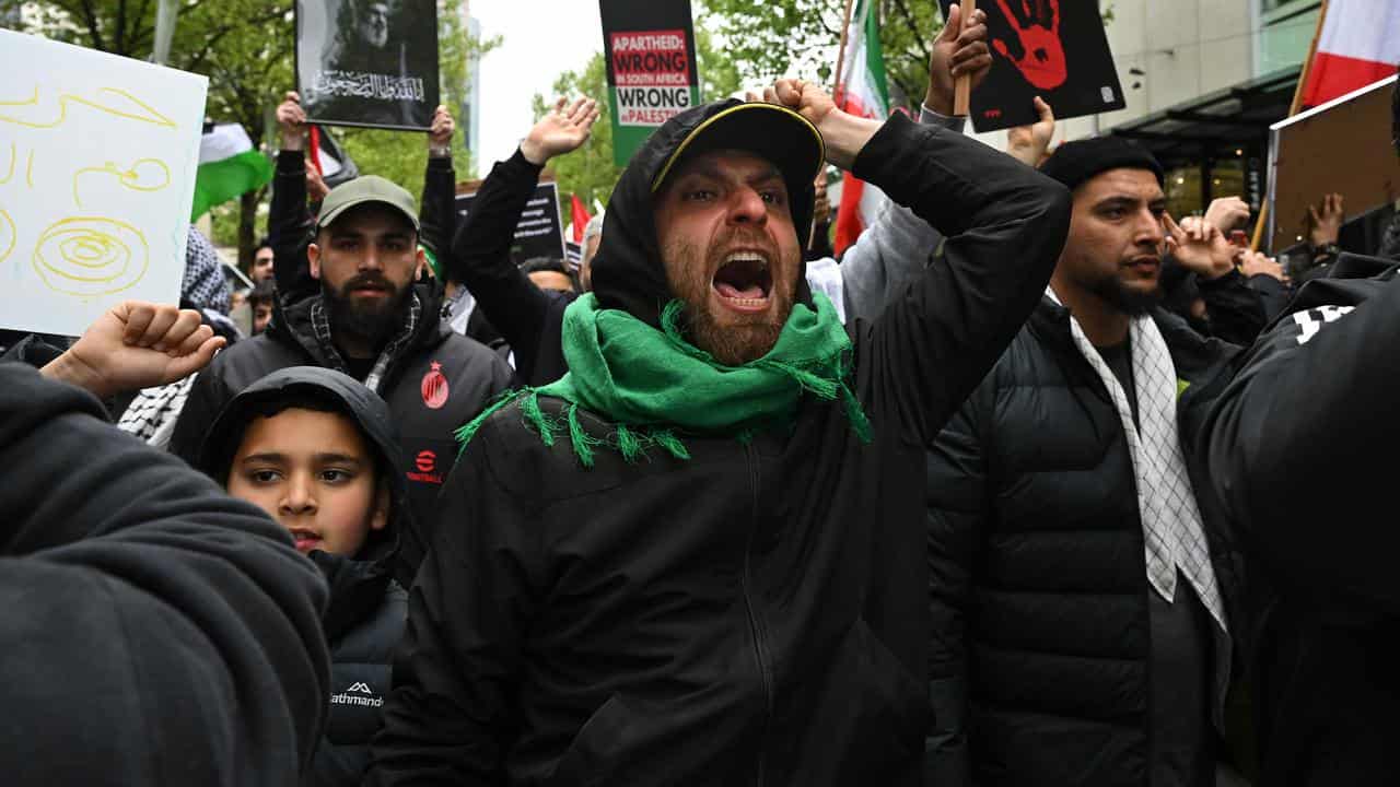 Protesters at a Pro-Palestine rally (file image)