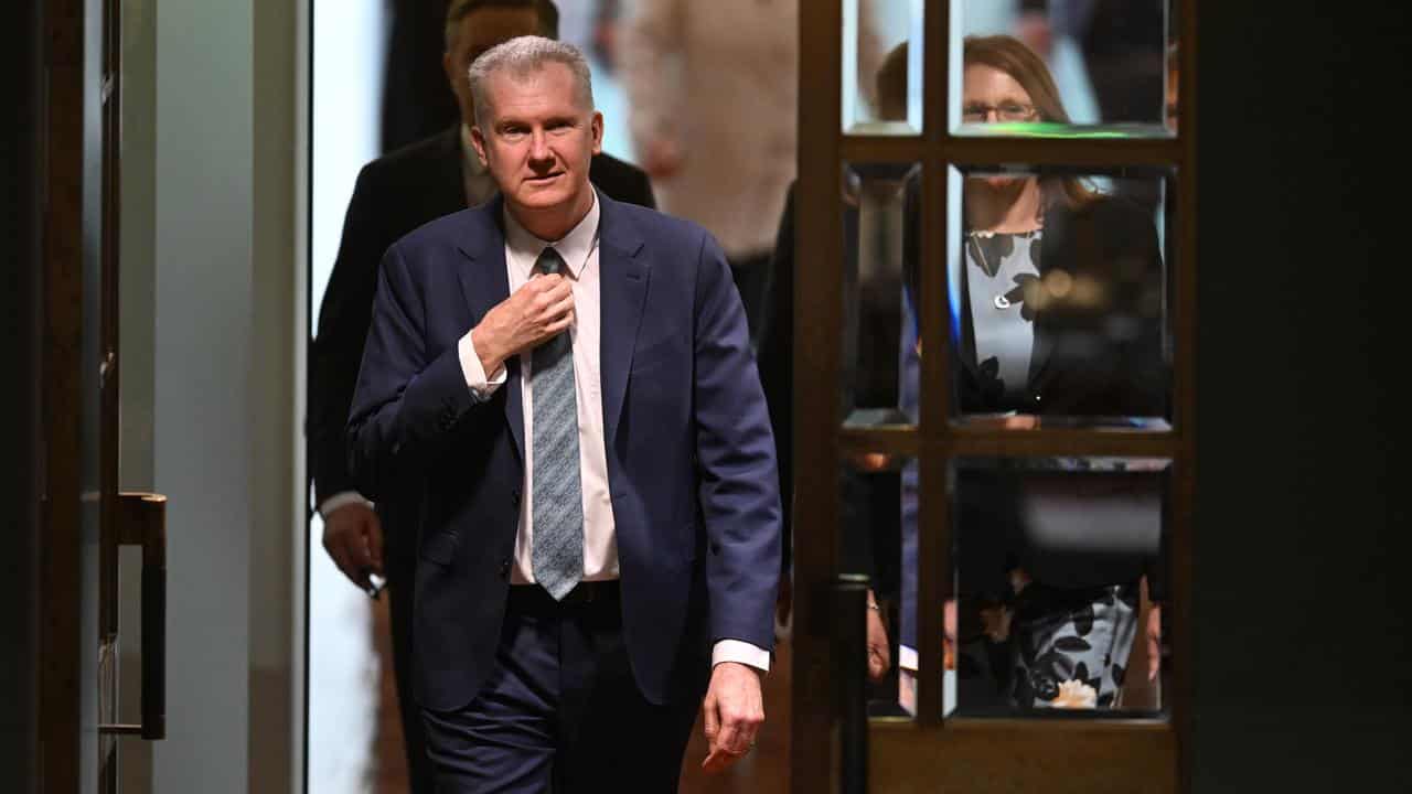 Home Affairs Minister Tony Burke (file image)