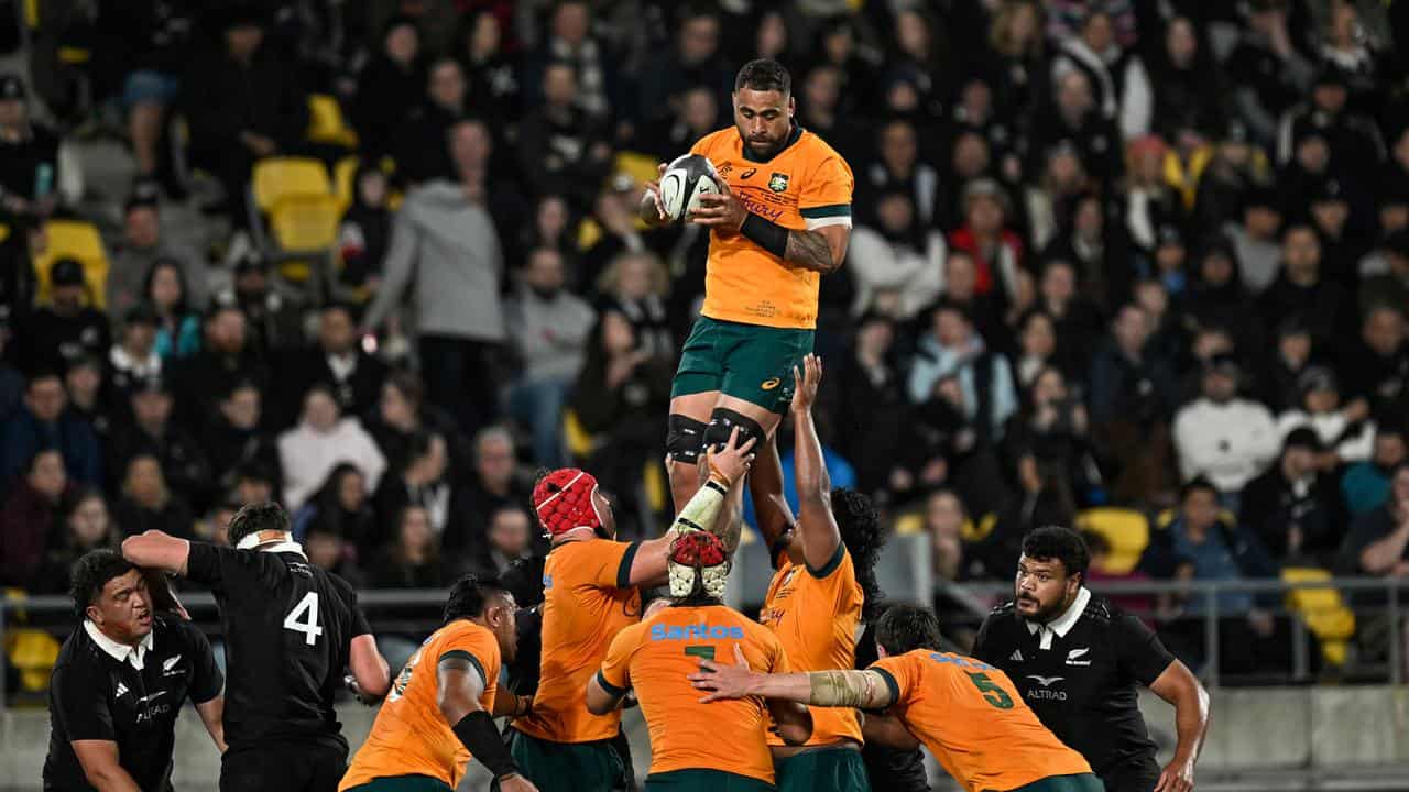 RUGBY NEW ZEALAND AUSTRALIA