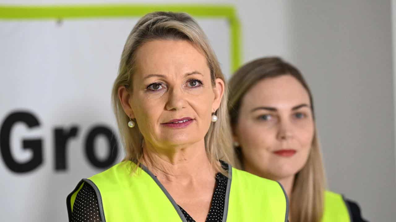 Sussan Ley