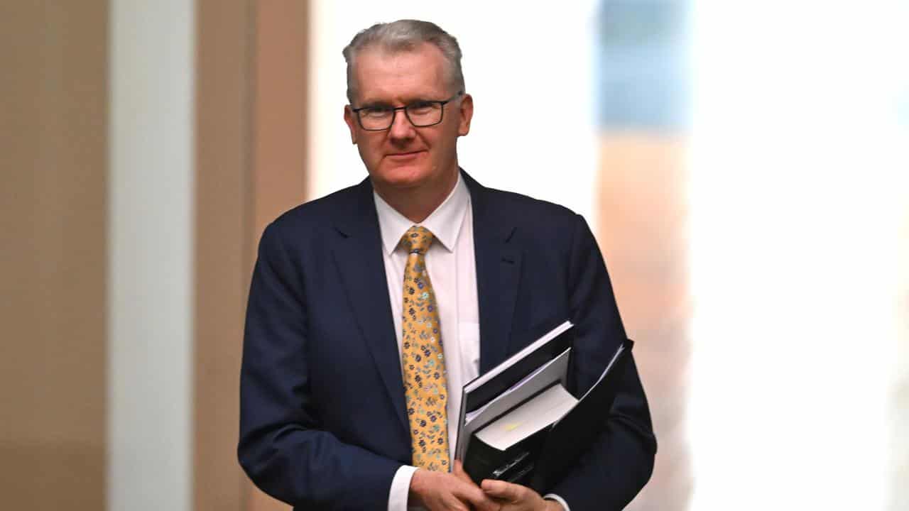 Home Affairs Minister Tony Burke