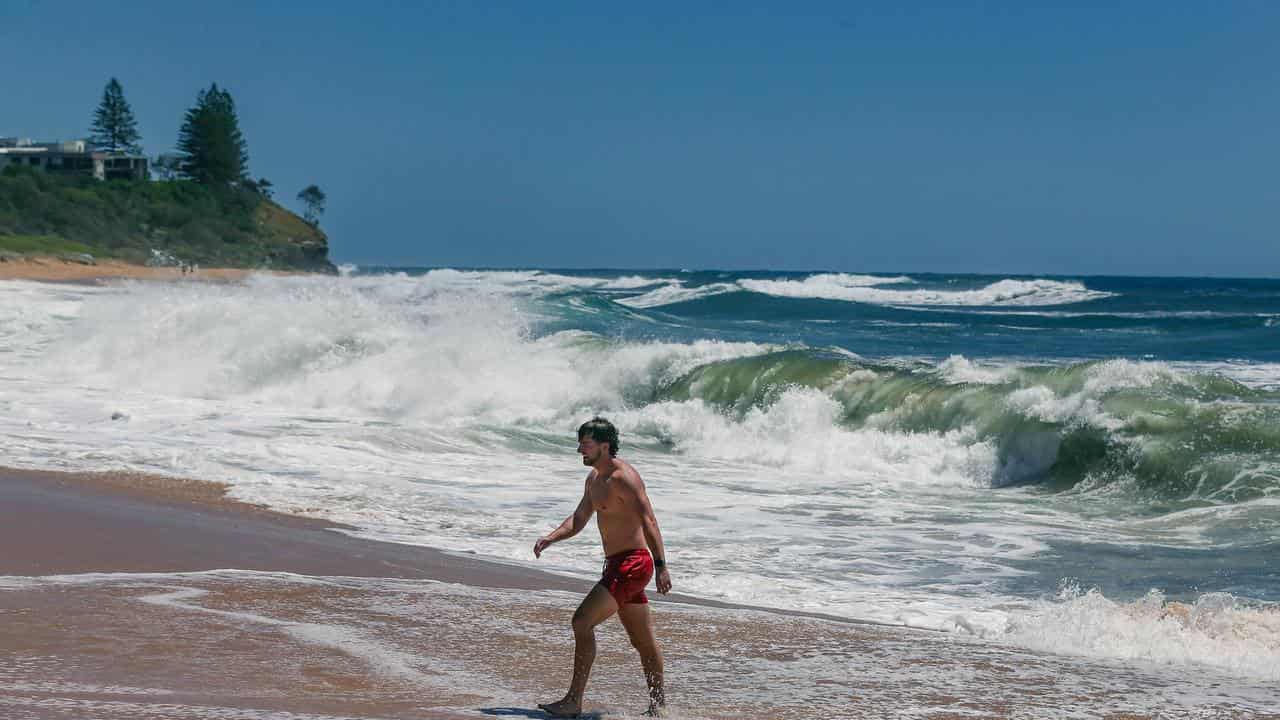 A Sunshine Coast beach