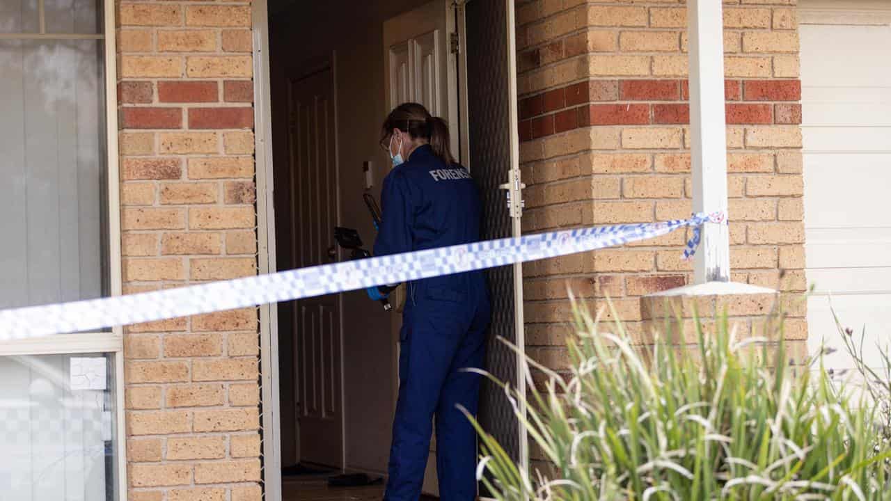 Forensic police examine the scene of an alleged murder