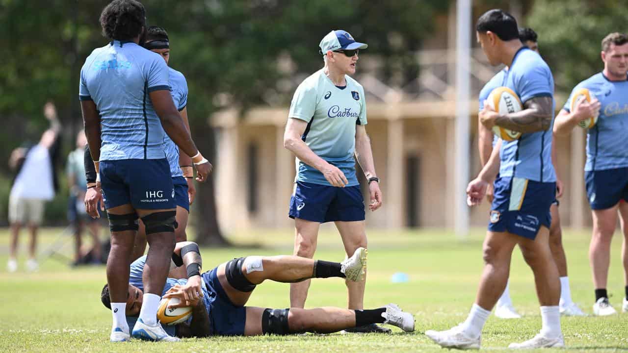 Joe Schmidt (centre).