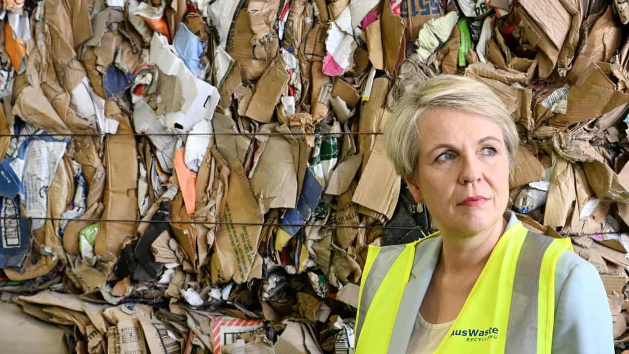 Environment Minister Tanya Plibersek