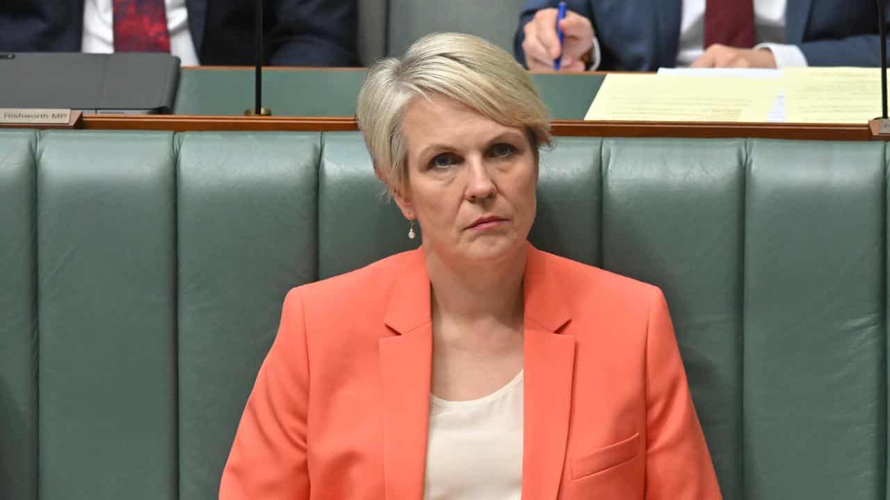 Minister for Environment Tanya Plibersek.