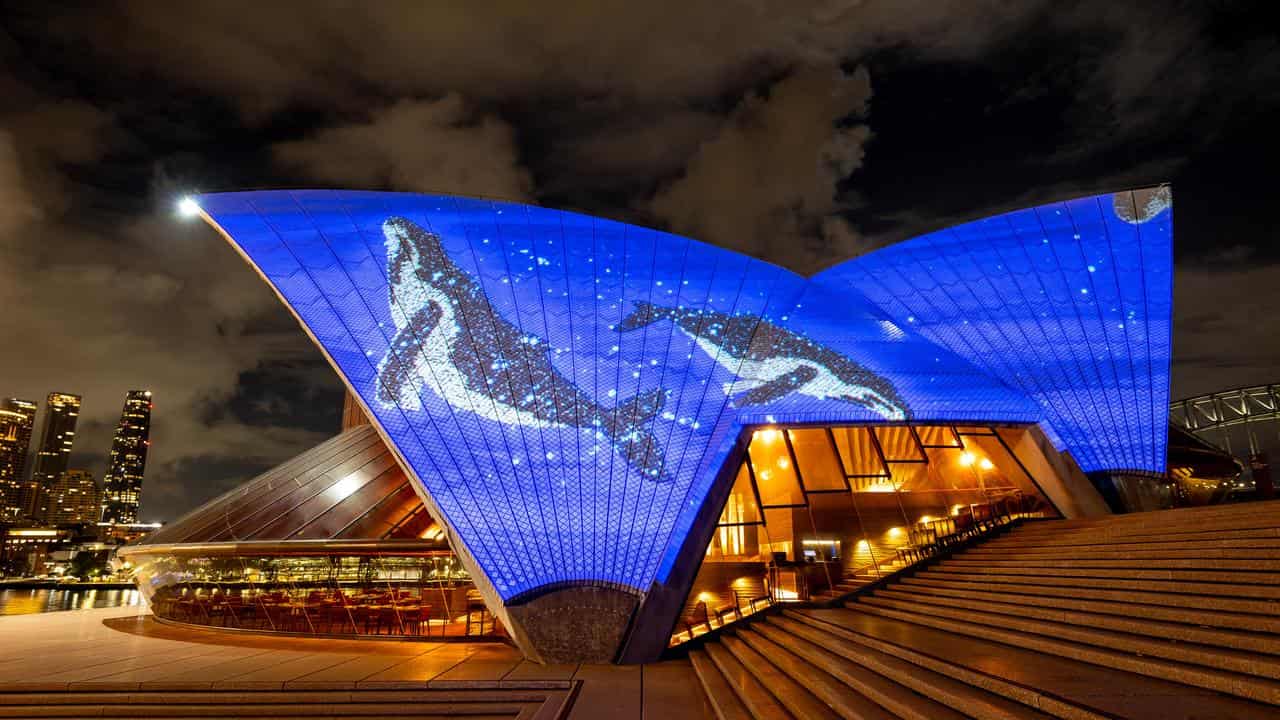 Work of late Bidjigal elder Esme Timbery on the Sydney Opera House