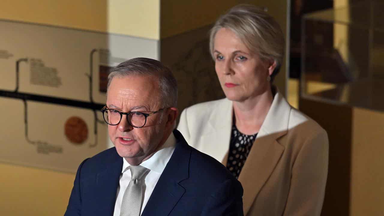 Anthony Albanese and Tanya Plibersek at the Sydney Jewish Museum