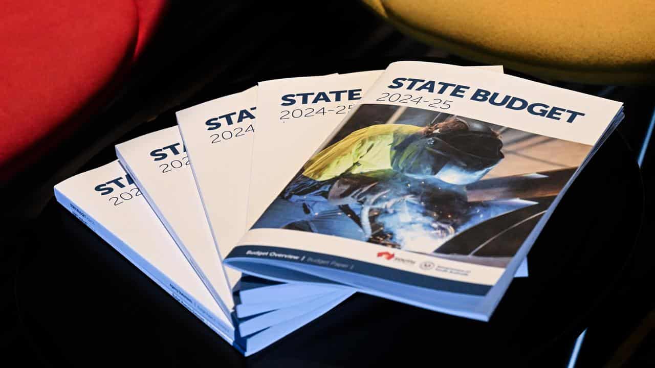 SA state budget documents (file image)