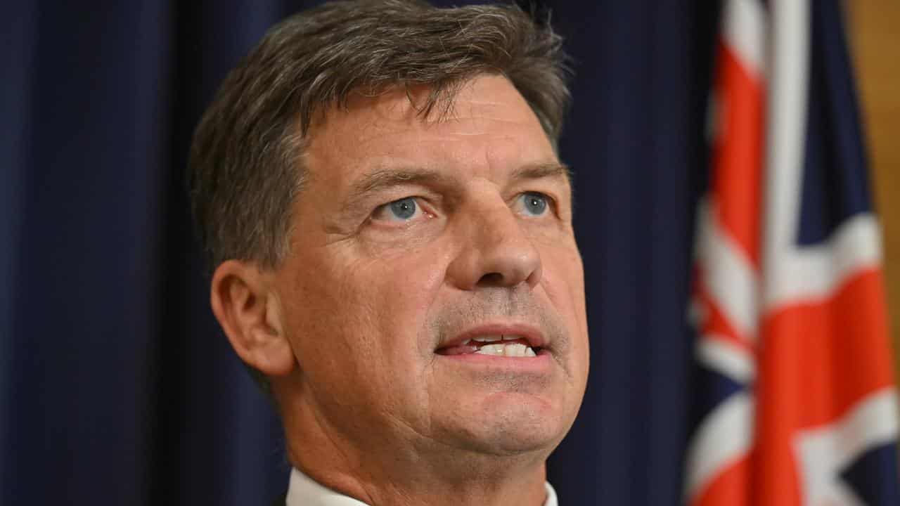 Shadow treasurer Angus Taylor