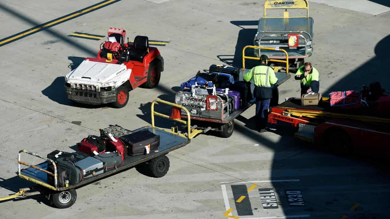 Baggage handlers at a Qantas plane at the domestic terminal in Sydney