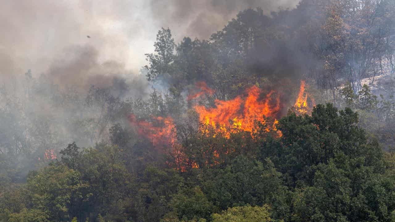 Wildfire in North Macedonia.