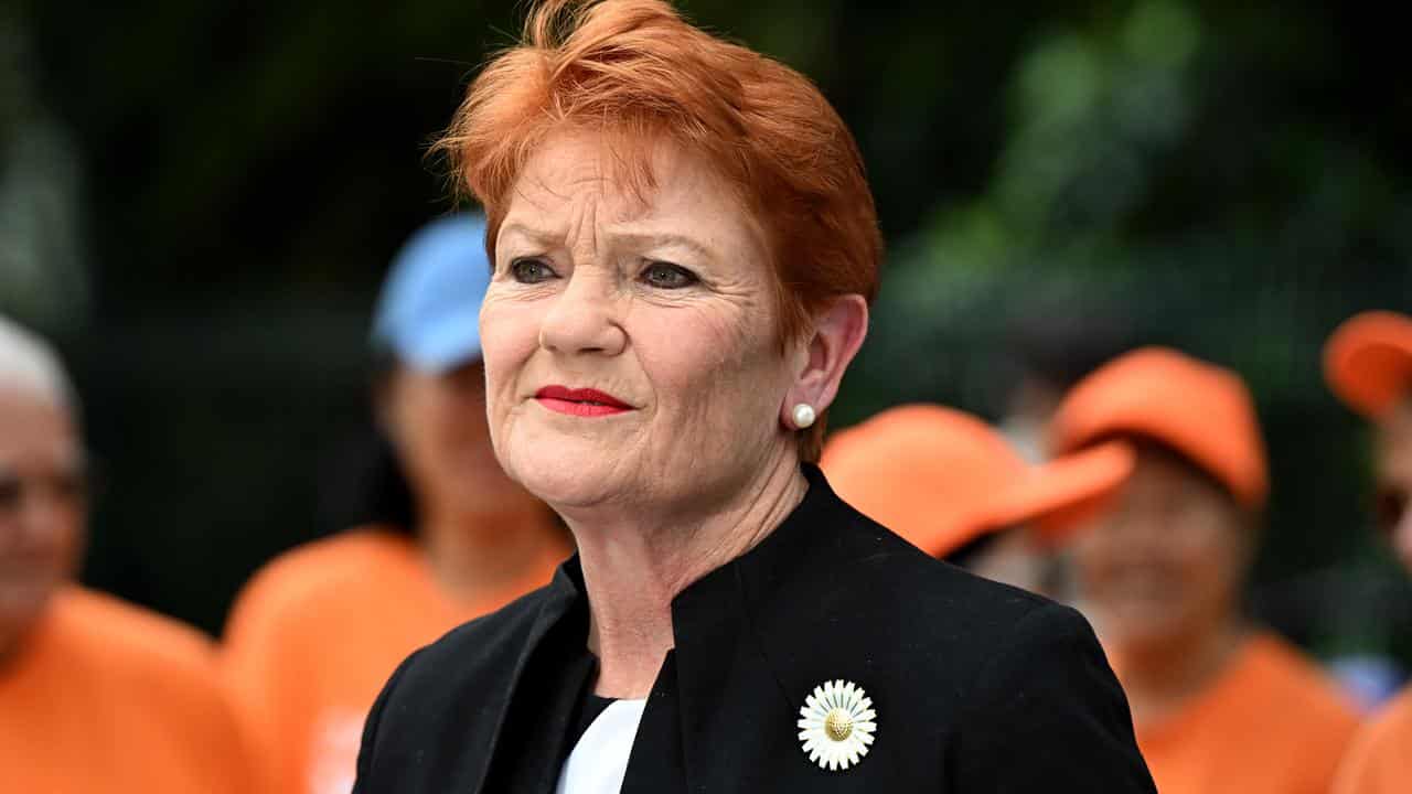 One Nation Party leader Senator Pauline Hanson