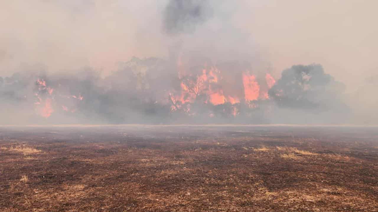 A supplied image of scenes following bushfires in Karabeal, Victoria